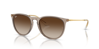 RAY-BAN RB4171 ERIKA 674413 54