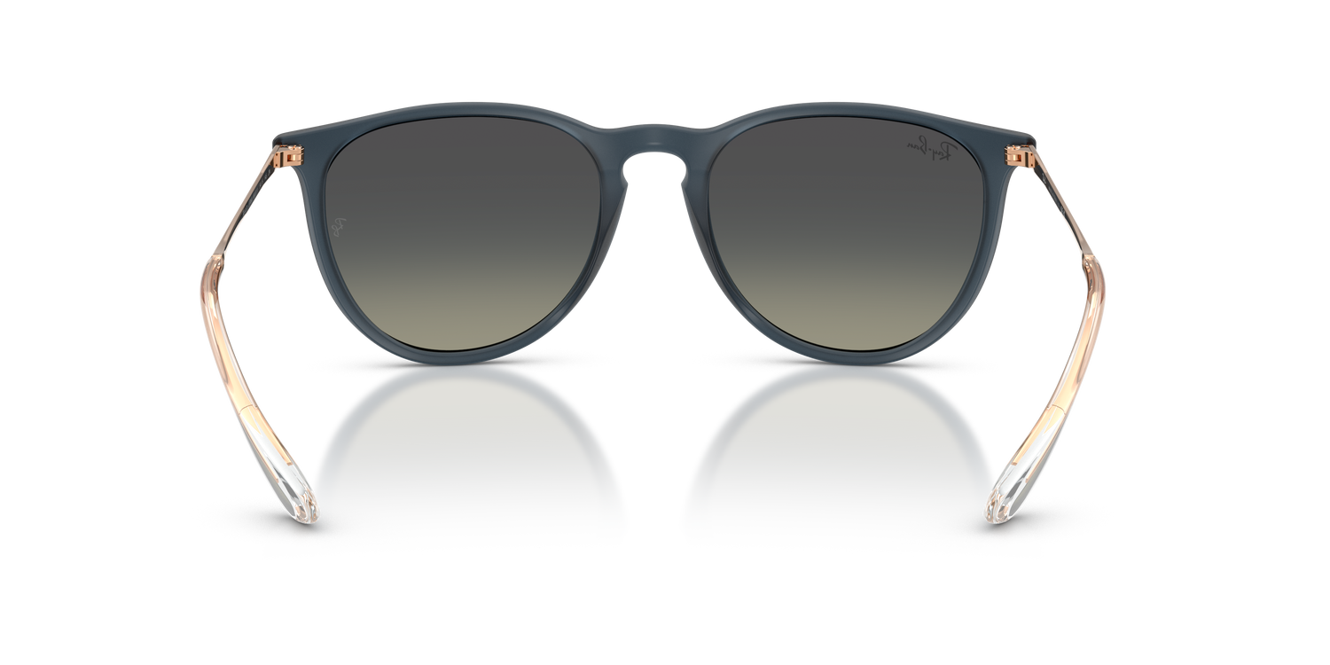 RAY-BAN RB4171 ERIKA 681311 54