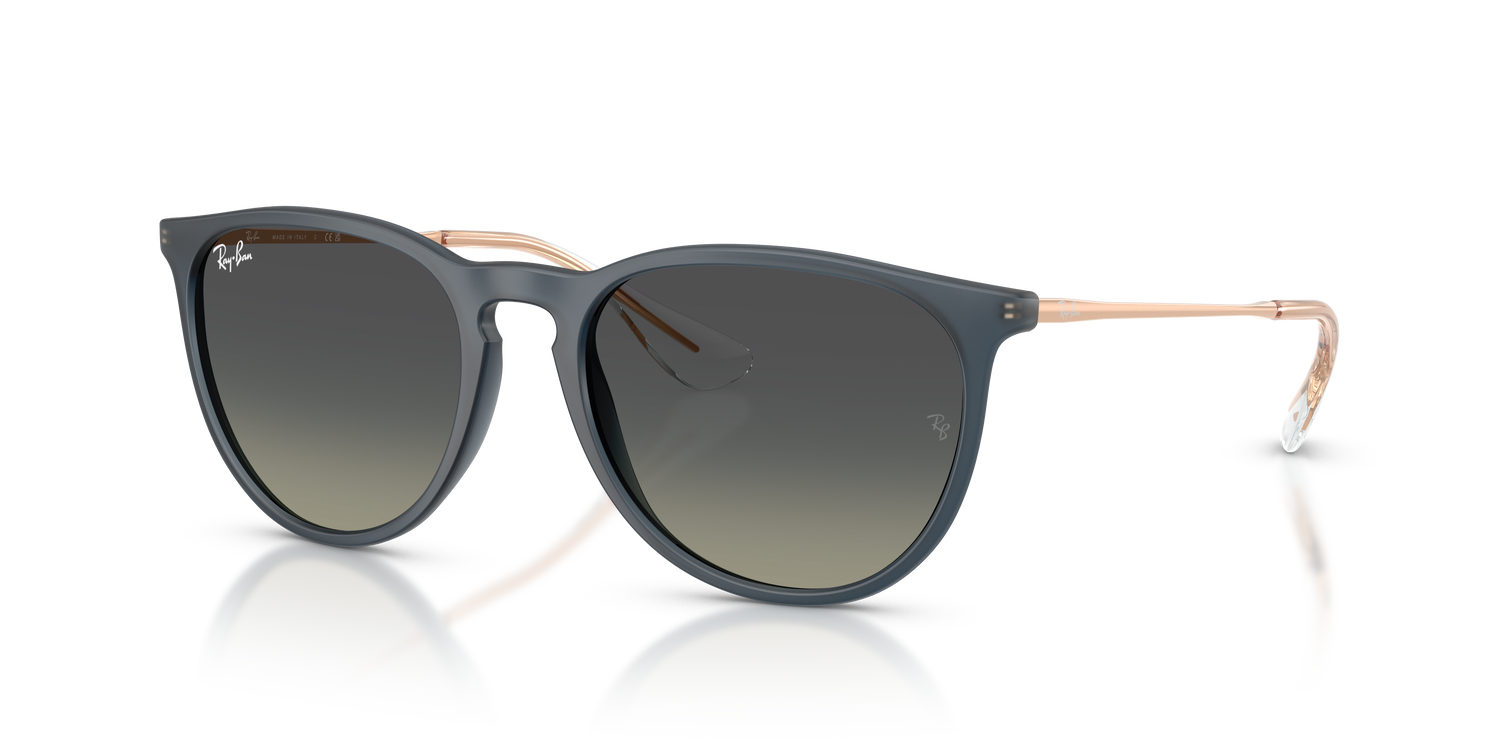 RAY-BAN RB4171 ERIKA 681311 54