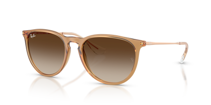 RAY-BAN RB4171 ERIKA 681413 54