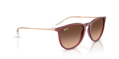 RAY-BAN RB4171 ERIKA 6815A5 54