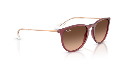 RAY-BAN RB4171 ERIKA 6815A5 54