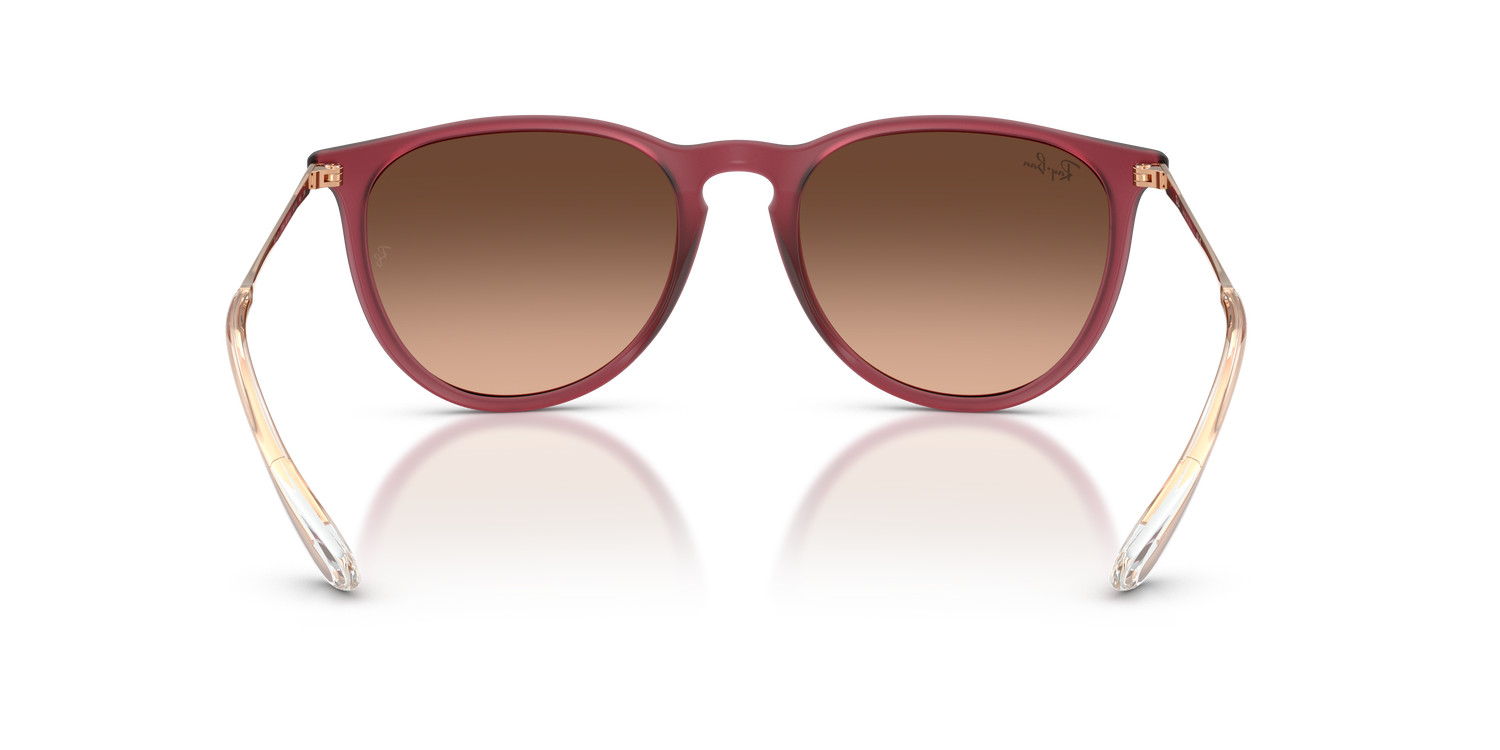 RAY-BAN RB4171 ERIKA 6815A5 54