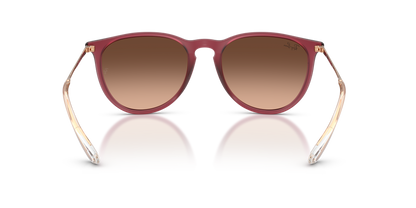 RAY-BAN RB4171 ERIKA 6815A5 54