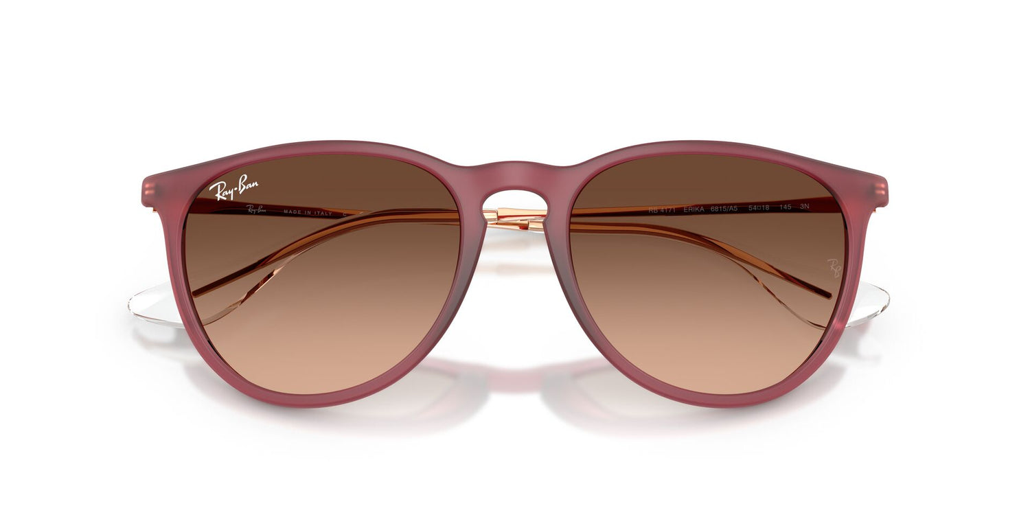 RAY-BAN RB4171 ERIKA 6815A5 54