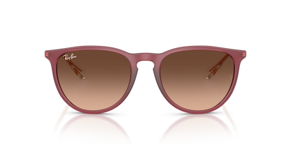 RAY-BAN RB4171 ERIKA 6815A5 54