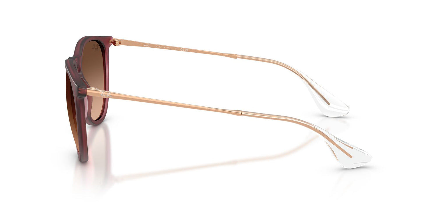 RAY-BAN RB4171 ERIKA 6815A5 54