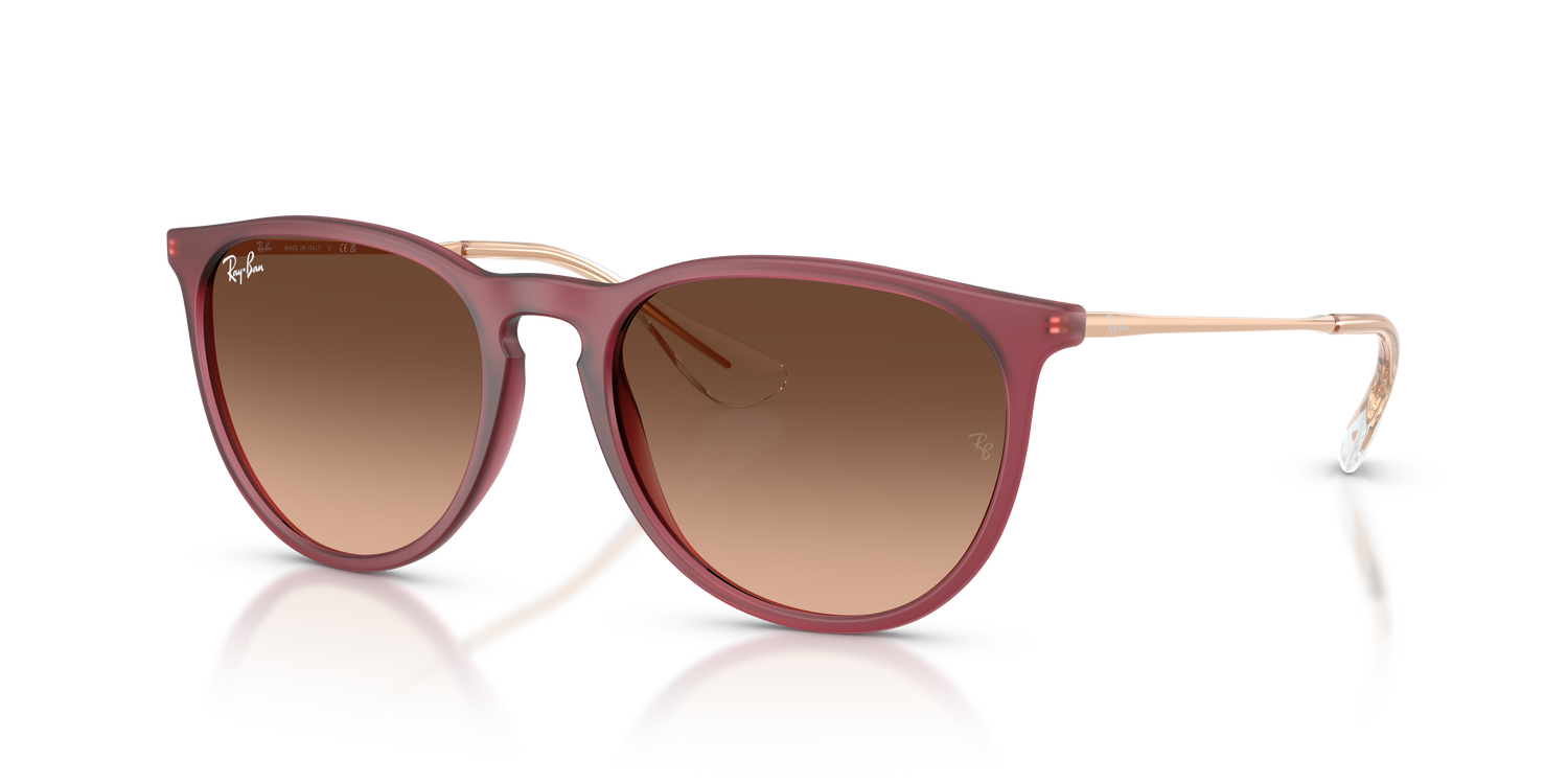 RAY-BAN RB4171 ERIKA 6815A5 54