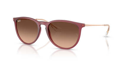 RAY-BAN RB4171 ERIKA 6815A5 54