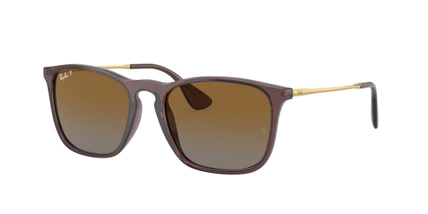 Ray-Ban RB4187 Chris 6593T5 54