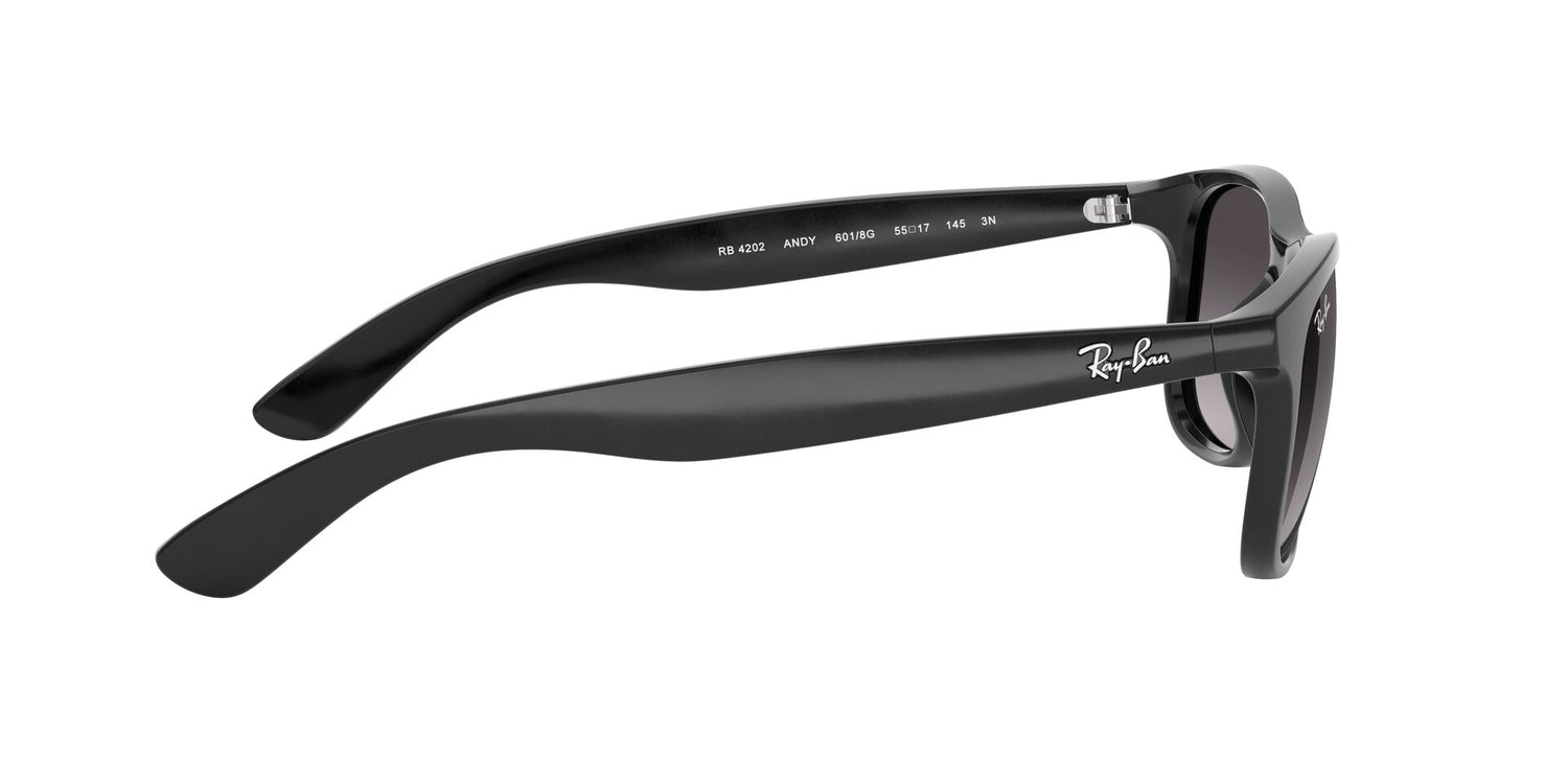 RAY-BAN RB4202 ANDY 601/8G 55