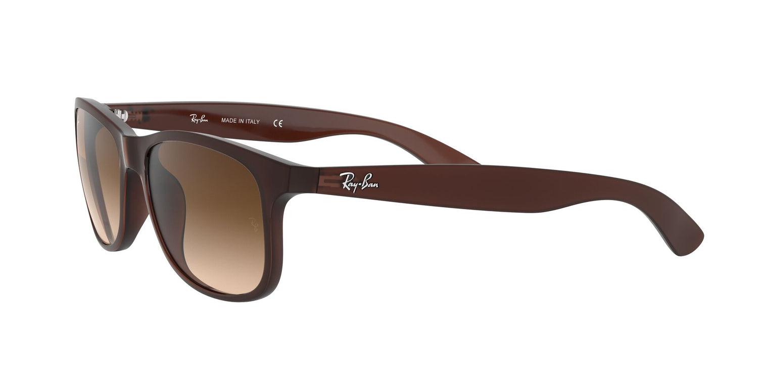 RAY-BAN RB4202 ANDY 607313 55