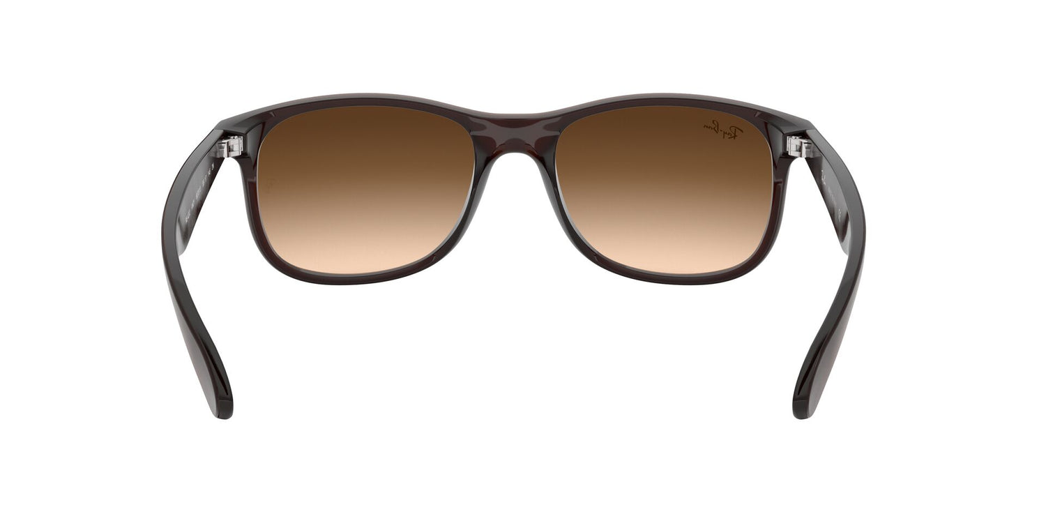 RAY-BAN RB4202 ANDY 607313 55