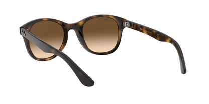 RAY-BAN RB4203 710/13 51