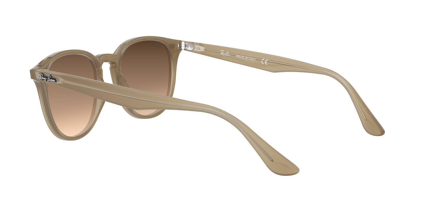 RAY-BAN RB4259 616613 51