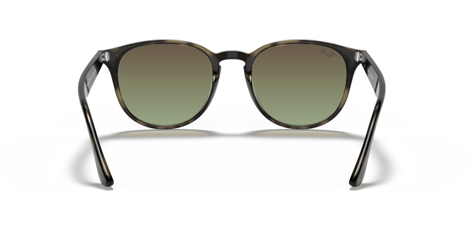 RAY-BAN RB4259 731/E8 51