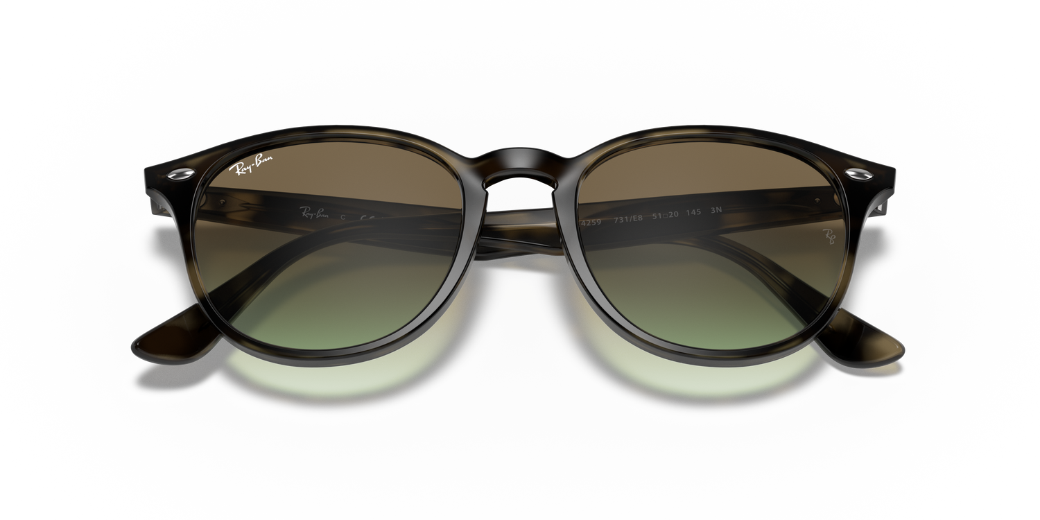 RAY-BAN RB4259 731/E8 51