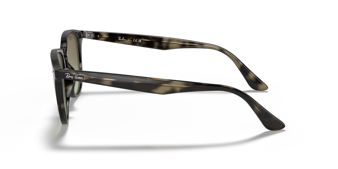 Sunglasses ray-ban rb4259 731/e8 unisex size 51mm - Detailed view