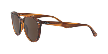 RAY-BAN RB4305 820/73 53