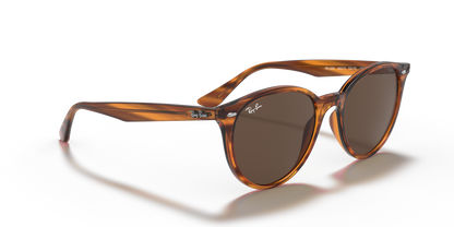 RAY-BAN RB4305 820/73 53