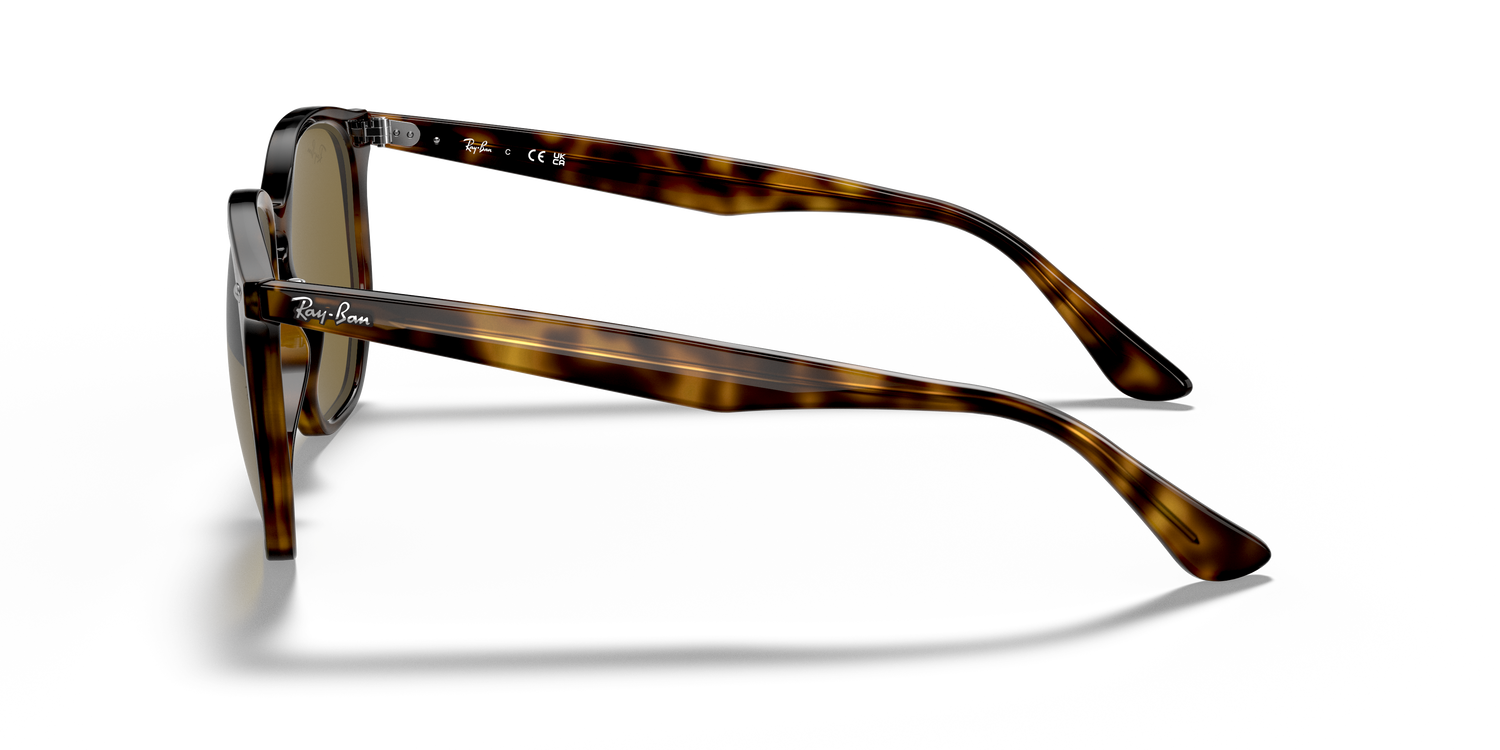 RAY-BAN RB4306 710/73 54