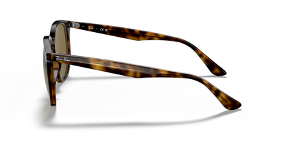 RAY-BAN RB4306 710/73 54