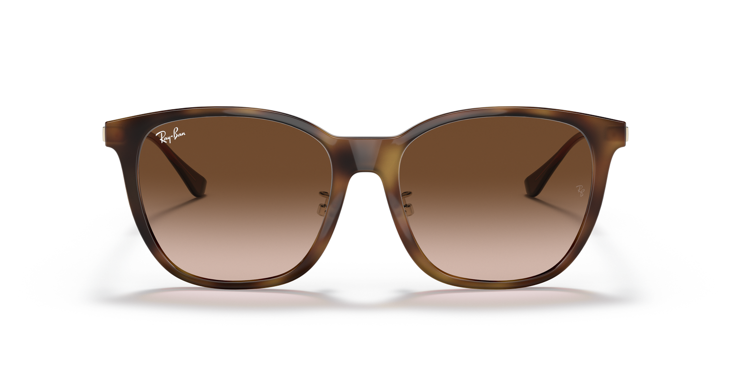 RAY-BAN RB4333D 710/13 55