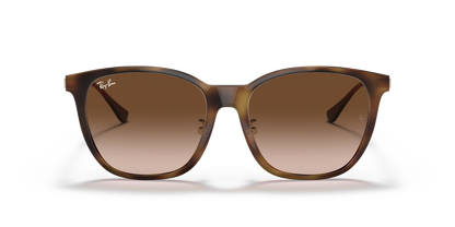 RAY-BAN RB4333D 710/13 55