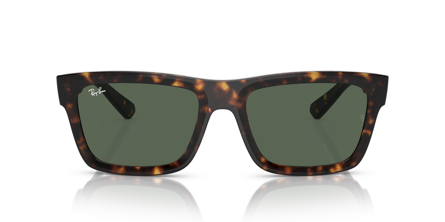 RAY-BAN RB4396 WARREN 135971 54