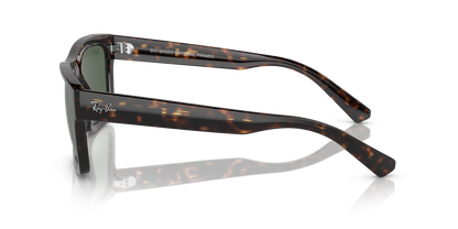 RAY-BAN RB4396 WARREN 135971 54