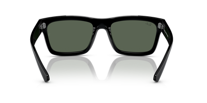 RAY-BAN RB4396 WARREN 667771 54