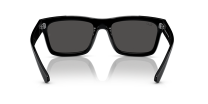 RAY-BAN RB4396 WARREN 667787 54