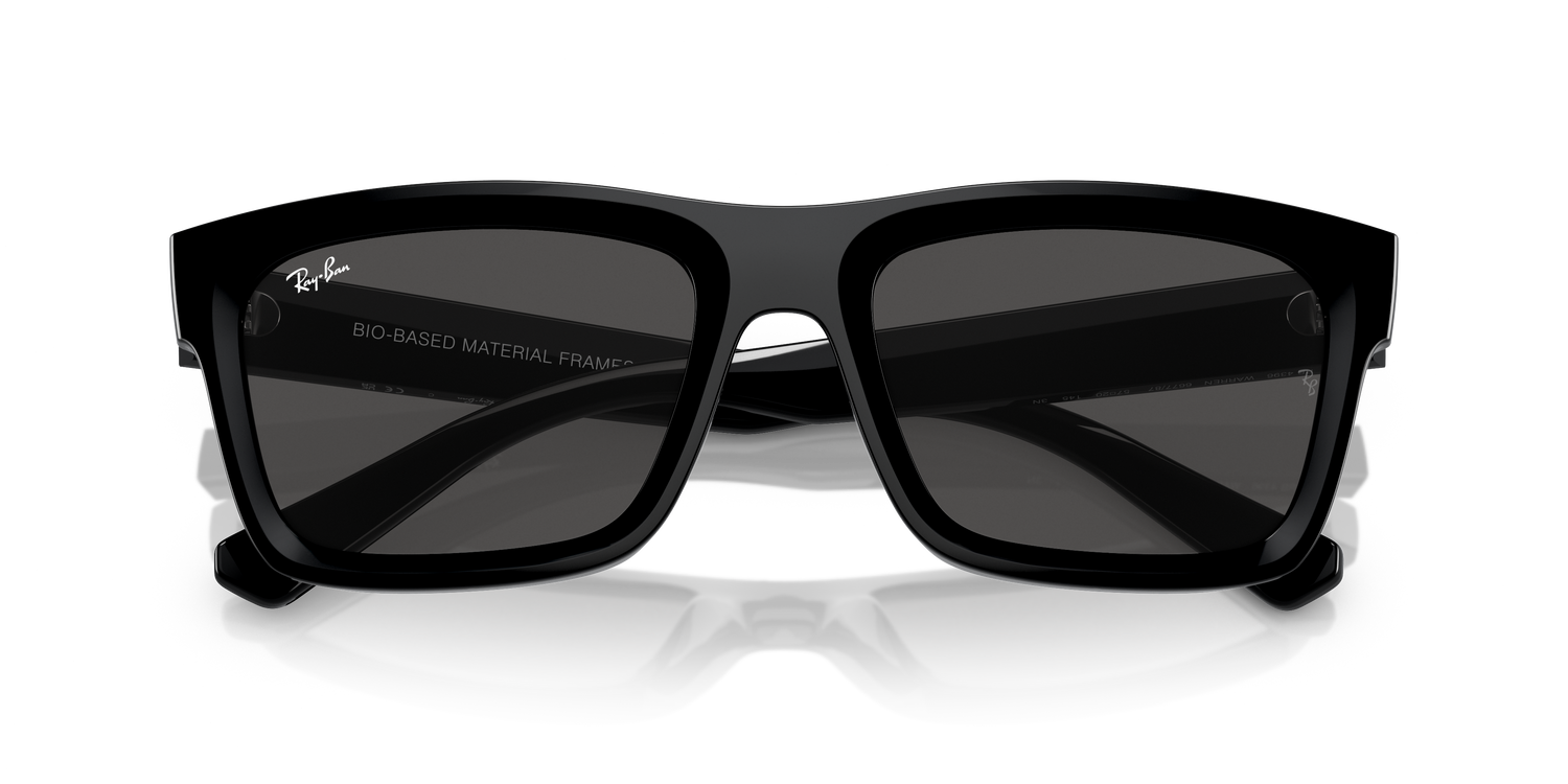 RAY-BAN RB4396 WARREN 667787 54