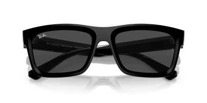 RAY-BAN RB4396 WARREN 667787 54