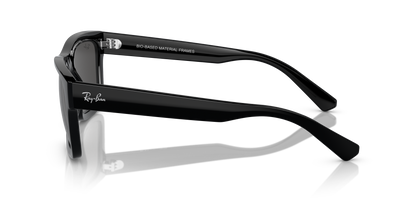 RAY-BAN RB4396 WARREN 667787 54
