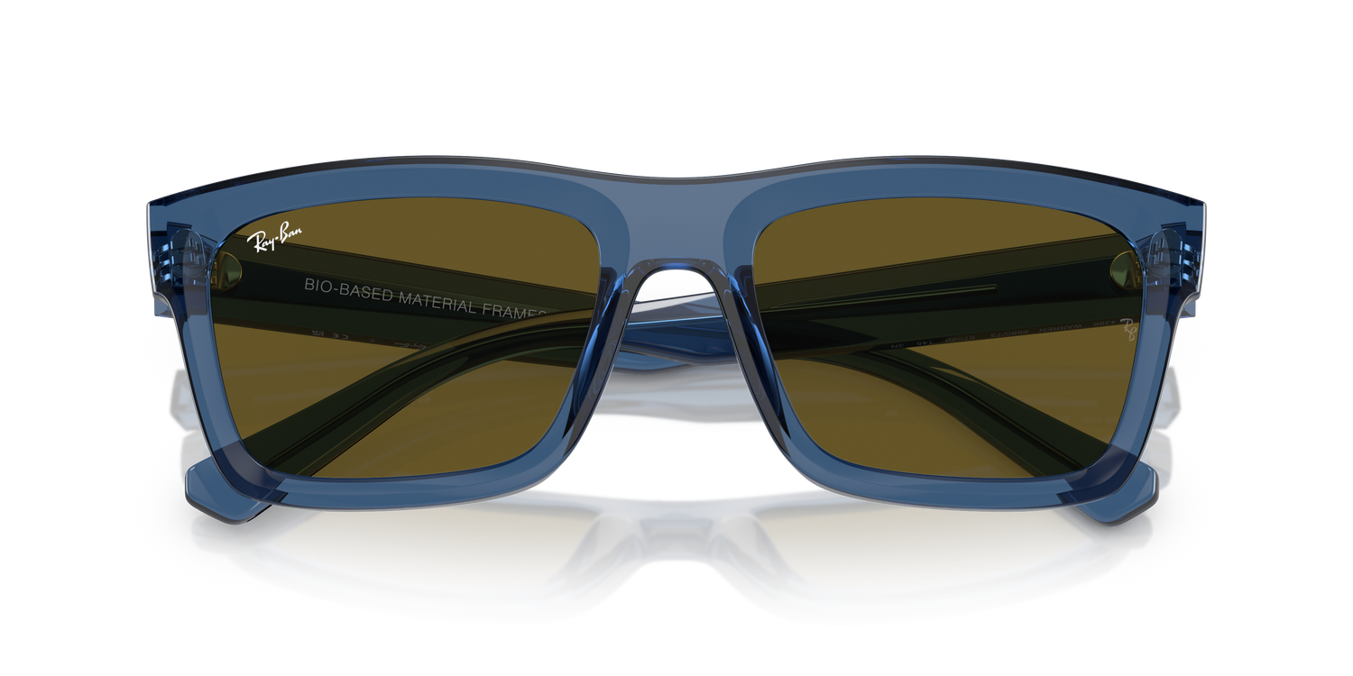 RAY-BAN RB4396 WARREN 668073 54