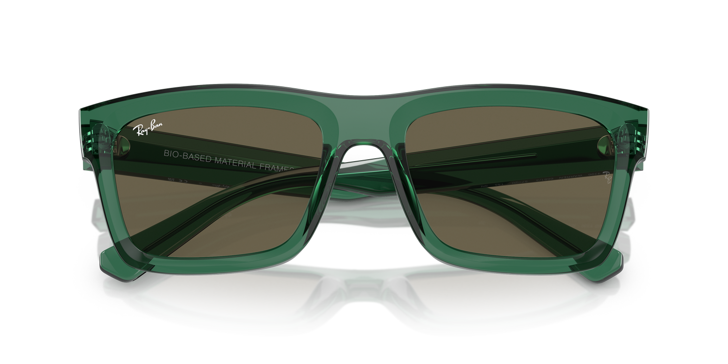 RAY-BAN RB4396 WARREN 6681/3 54