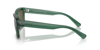RAY-BAN RB4396 WARREN 6681/3 54