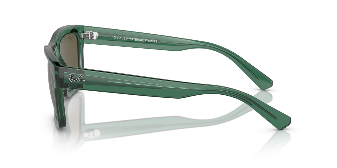 Sonnenbrillen ray-ban rb4396 warren 6681/3 unisex größe 57mm - Detailansicht