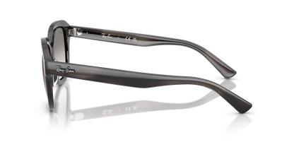 RAY-BAN RB4398 ERIK 140432 53