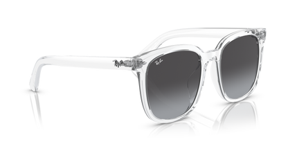 RAY-BAN RB4401D 64478G 55