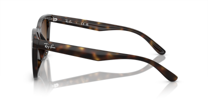 RAY-BAN RB4420 710/13 65