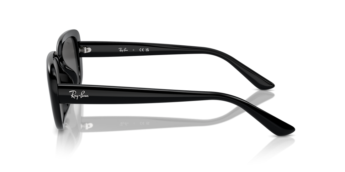 RAY-BAN RB4421D 667787 56 - 20