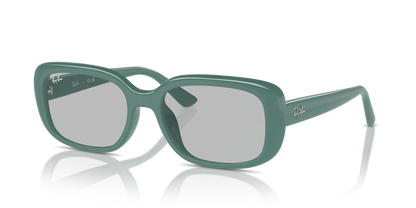 RAY-BAN RB4421D 676287 56 - 10