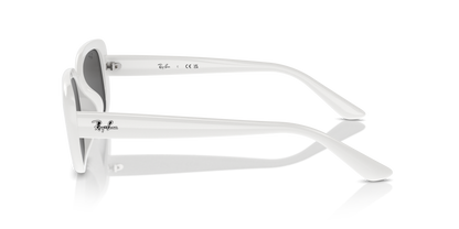 RAY-BAN RB4421D 677287 56 - 17