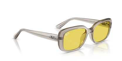 RAY-BAN RB4421D 681885 56