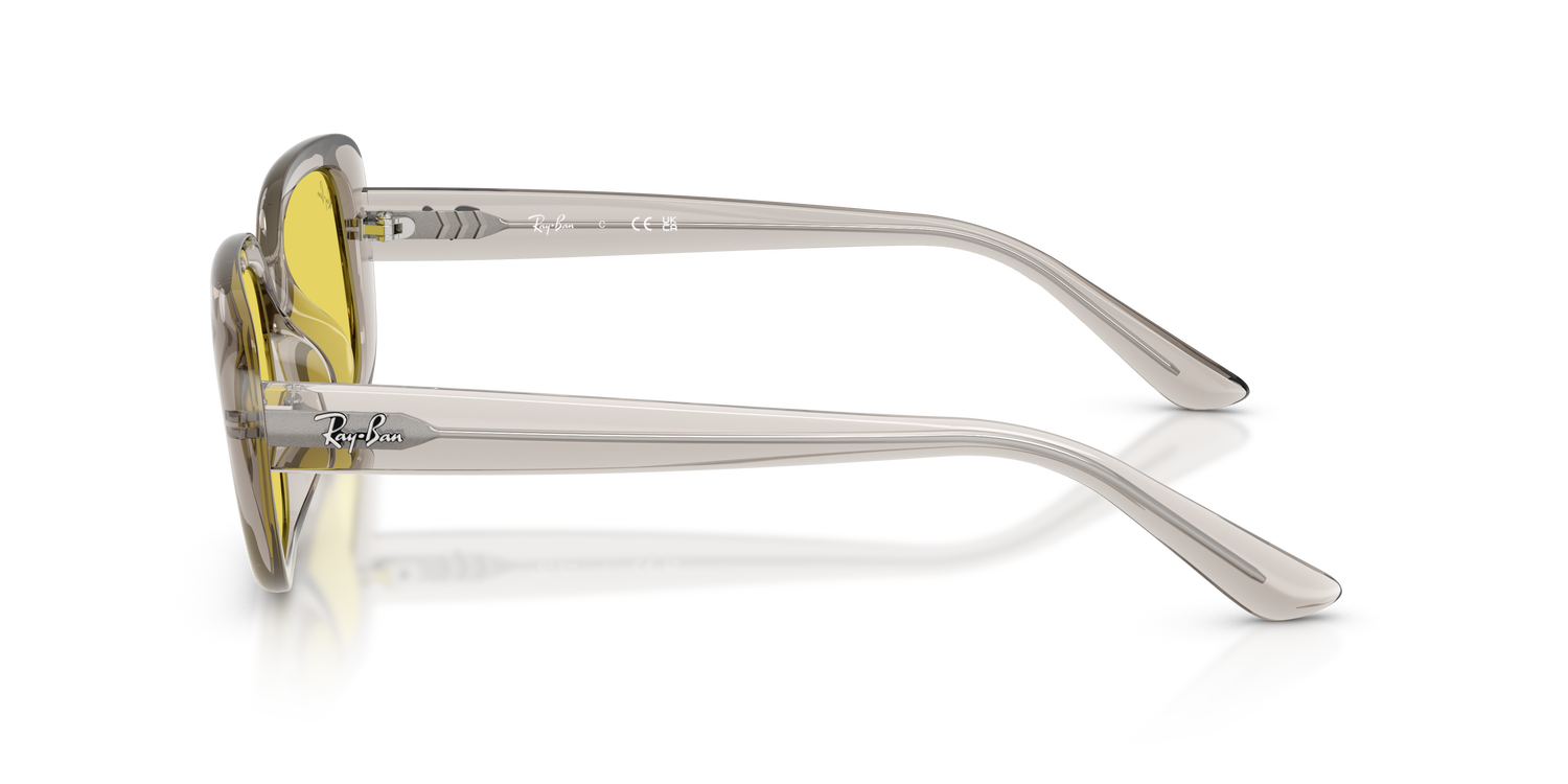 RAY-BAN RB4421D 681885 56