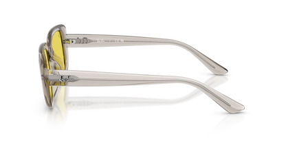 RAY-BAN RB4421D 681885 56