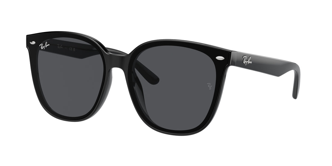 RAY-BAN RB4423D 601/87 66 - 15
