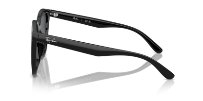 RAY-BAN RB4423D 601/87 66 - 16